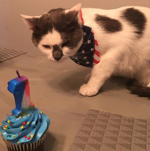 Meet your Posher, Jeannette